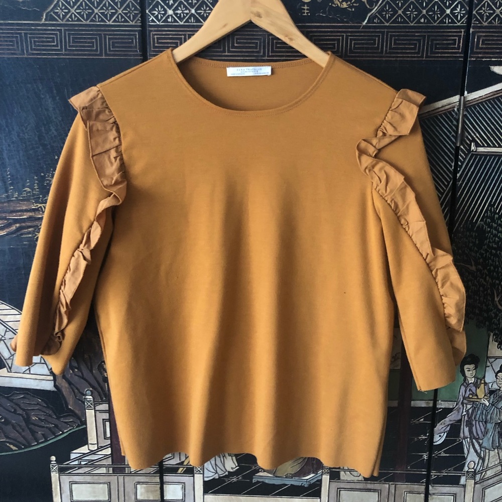 Ruffle sleeve Zara top